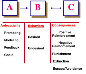 The Basics: Operant Conditioning