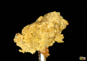 Bubba Kush Shatter Concentrate