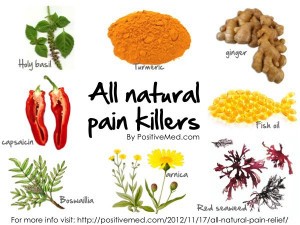 all natural pain killers