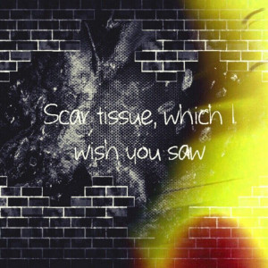 Scar tissue, which I wish you saw