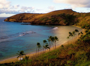 Hawaiian Language Links And