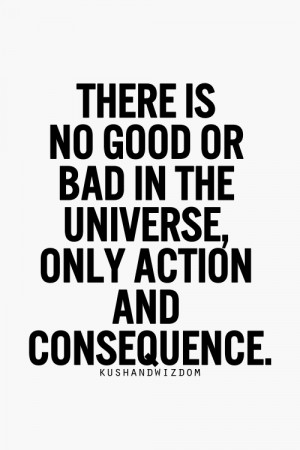 there is no good or bad in the universe, only action and consequence
