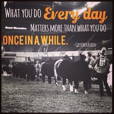 cattle quotes for pinterest showing livestock quotes showing livestock ...