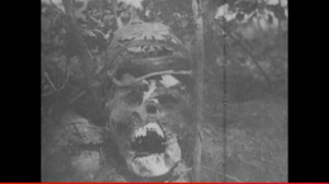 Sniper, Battle of Verdun, Piked Helmet, Dying, Steel Helmet, Skull ...