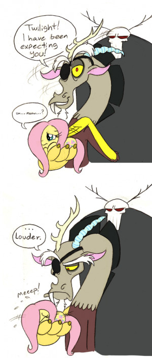 Discord, Fluttershy, cat, meow, funny