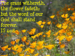 Community Service Bible Verses Images