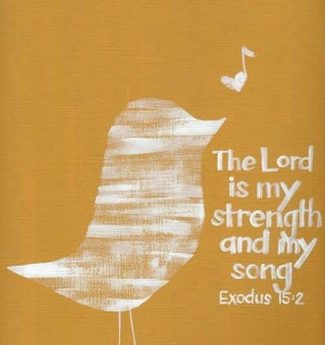 Pinned by Talitha Seymour