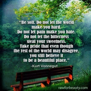 Be soft... Quote from Kurt Vonnegut