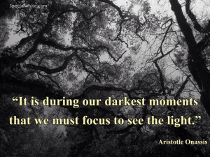 It is during our darkest moments that we must focus to see the light ...