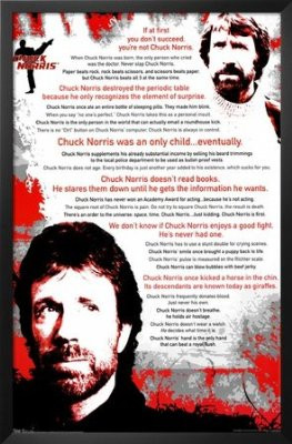 Chuck Norris (Quotes, The Best) Movie Poster Print