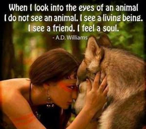 Native American Animal Quotes