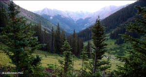 famous quotes famous quotes famous quotes wilderness is more than