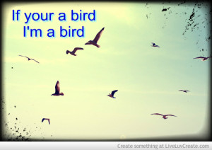 birdy_birdy_birdy-470486.jpg