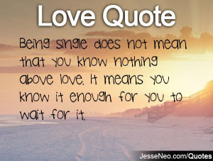 What Does Love Mean Quotes Being single does not mean