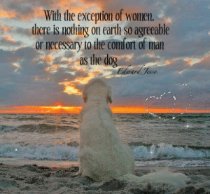 ... Agreeable Or Necessary To The Comfort Of Man As The Dog - Dogs Quote