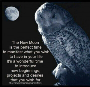 New moon, new beginnings