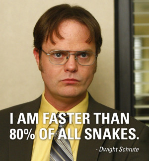 funny inspirational quotes for facebook dwight schrute quotes dwight ...
