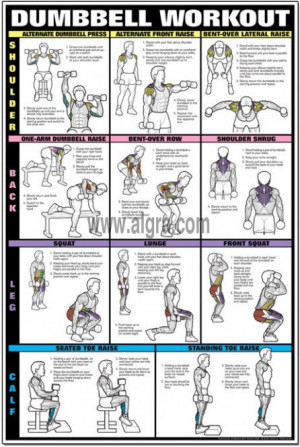 posters exercise workouts dumbbell shoulder back and leg poster