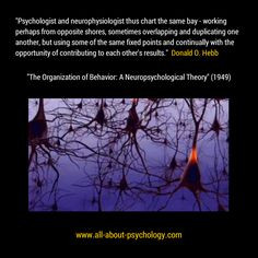 ... psychology? Click on image or Go here --> www.all-about-psychology.com