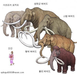 Songhua Mammoth http://mlbpark.donga.com/bbs/view.php?bbs=mpark_bbs ...