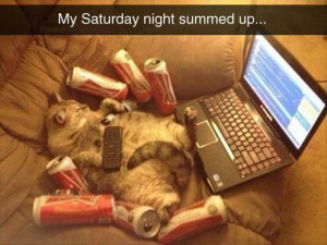 Cat memes – My Saturday night