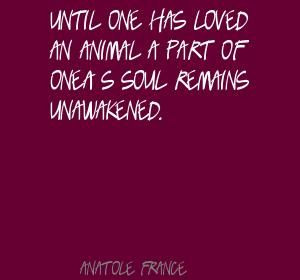 Until one has loved an animal a part of one's Quote By Anatole France