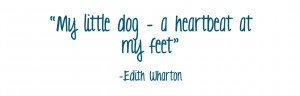 Dog Quotes Graphics