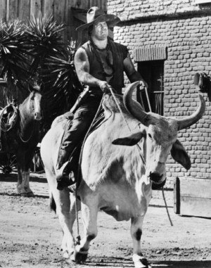 Pictures & Photos from Blazing Saddles - IMDb