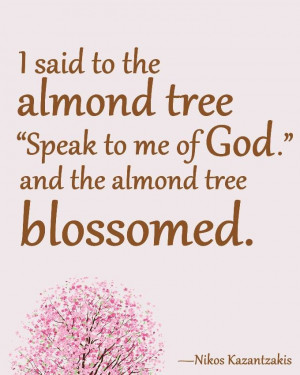 almond tree blossom quote