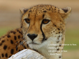 Animal Wallpaper- Mark Twain on Courage
