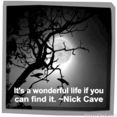 nick cave quotes