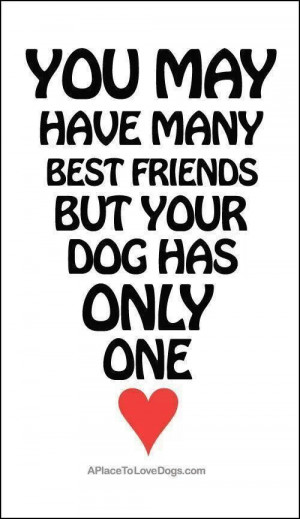bffs #mansbestfriend #dogs...
