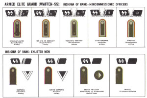 Waffen SS German Ranks Insignias
