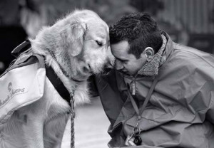 人与狗的亲密接触的温馨时刻 ( 10 /19)