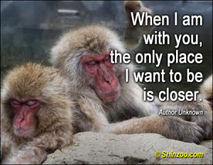 When I am with you, the only place I want to be is closer.”