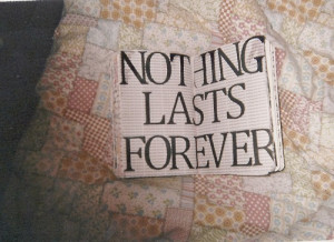 book, cute, forever, love, nothing last forever, photo, photography ...