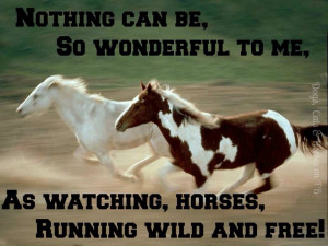 Wild Horses