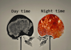 my-brain-day-vs-night-time