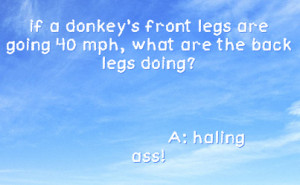 if a donkey's front legs are going 40 mph, what are the back legs ...