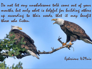 eagle quotes