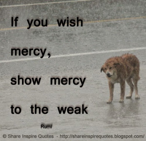 If you wish mercy, show mercy to the weak ~Rumi
