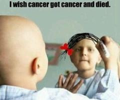 Help find a cure for cancer