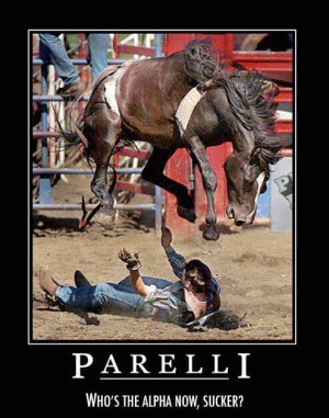 ... Funny horse related memes at the Horse Chat forum - Horse Forums