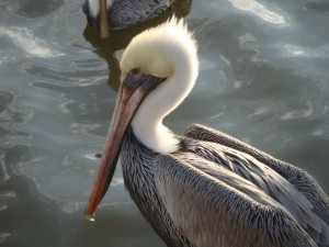 Tell us about yourself