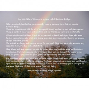 ... www.maine-coon-cat-nation.com/rainbow-bridge-pet-sympathy-poem.html