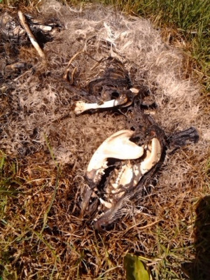 ... scary pics that will straight up give you the chills (32 Photos