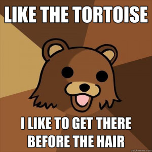 pedobear-meme-before-the-hair