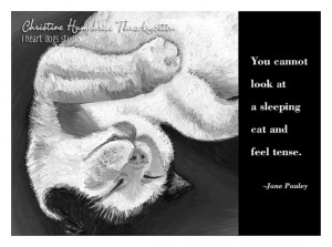 Cat quote card: Sleeping tuxedo cat / Jane Pauley wisdom