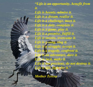 Nice Quotations About Life