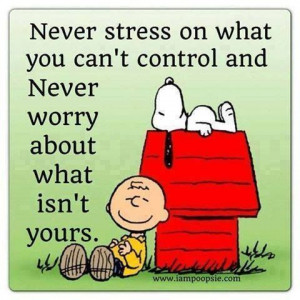 Never stress